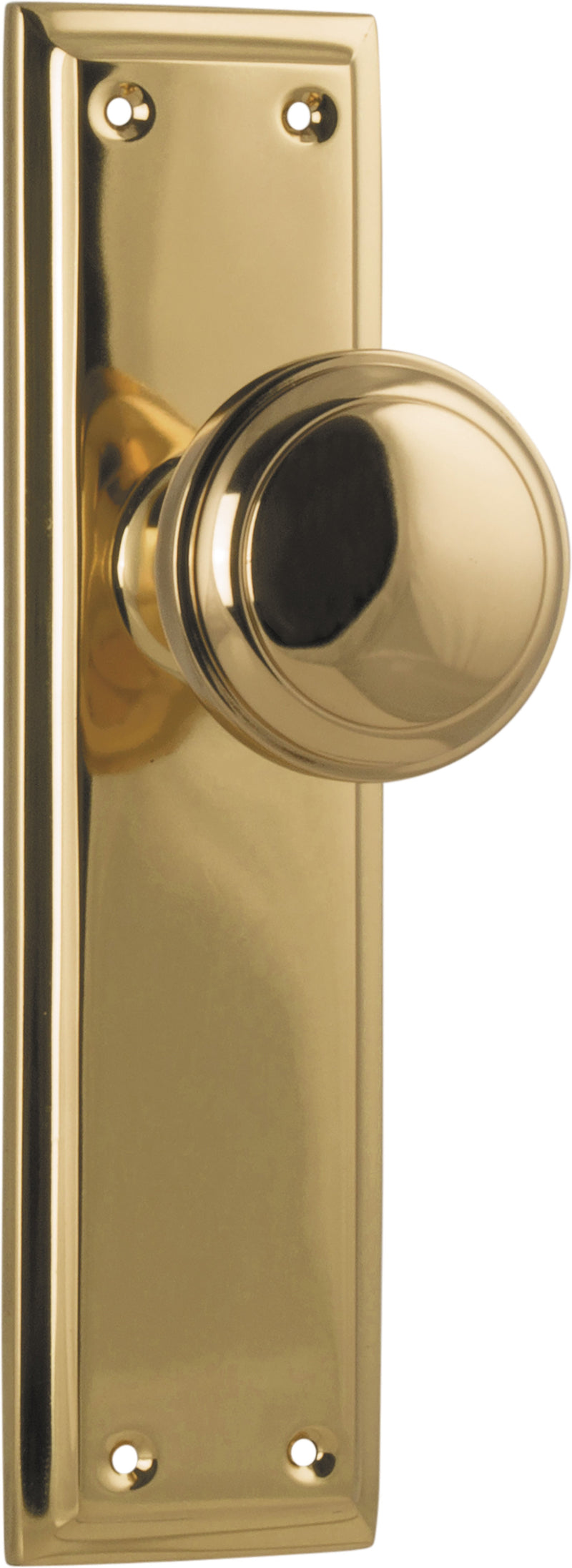 Milton Knob - Long Backplate Polished Brass / Latch | Passage