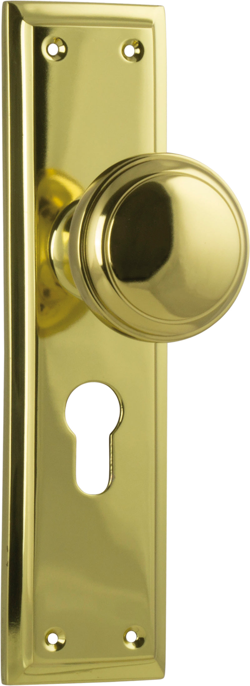 Milton Knob - Long Backplate Polished Brass / Euro | Entrance