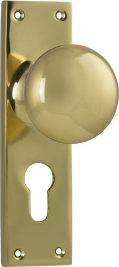 Victorian Knob - Long Backplate Polished Brass / Euro | Entrance
