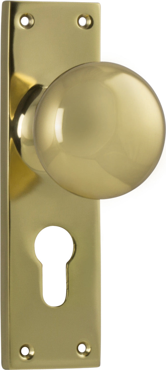 Victorian Knob - Long Backplate Polished Brass / Euro | Entrance