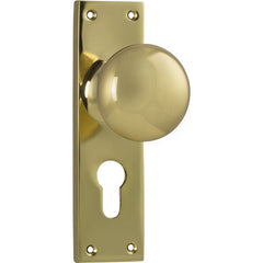 Victorian Knob - Long Backplate Polished Brass / Euro | Entrance