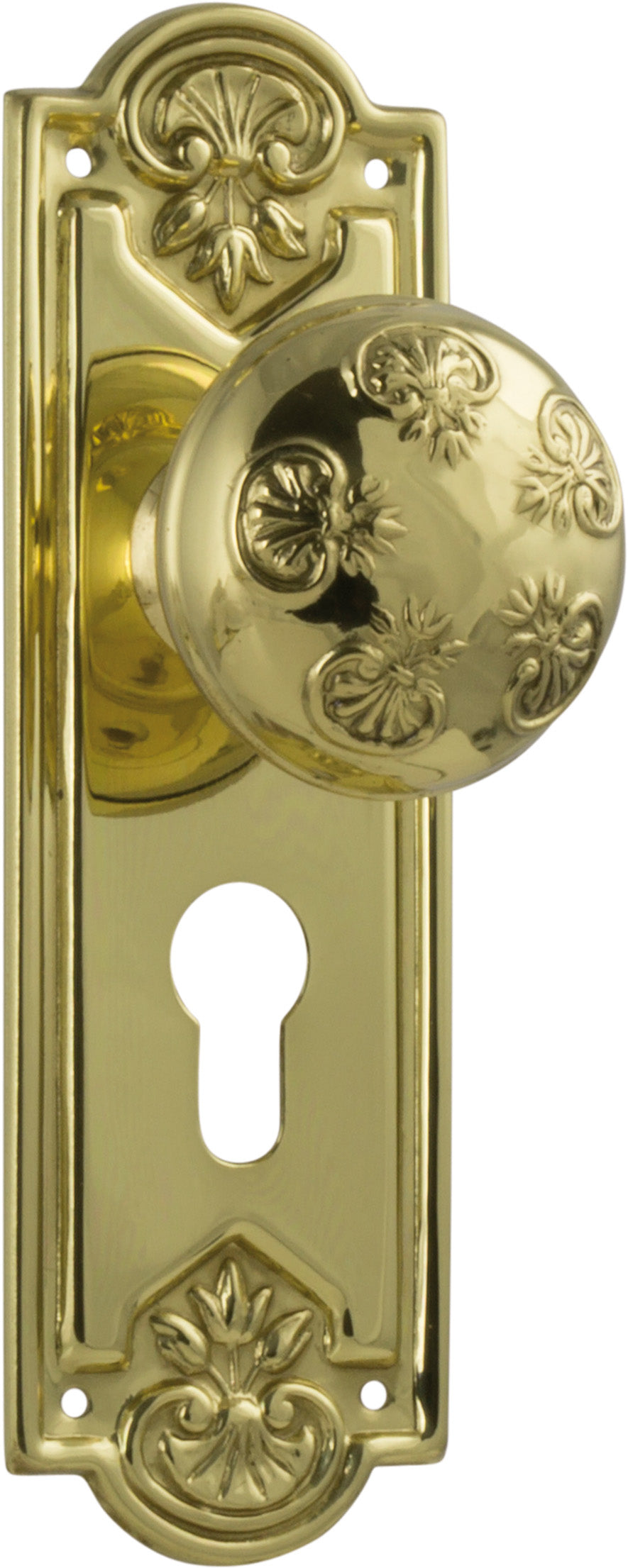 Nouveau Door Knob - Long Backplate Polished Brass / Euro | Entrance