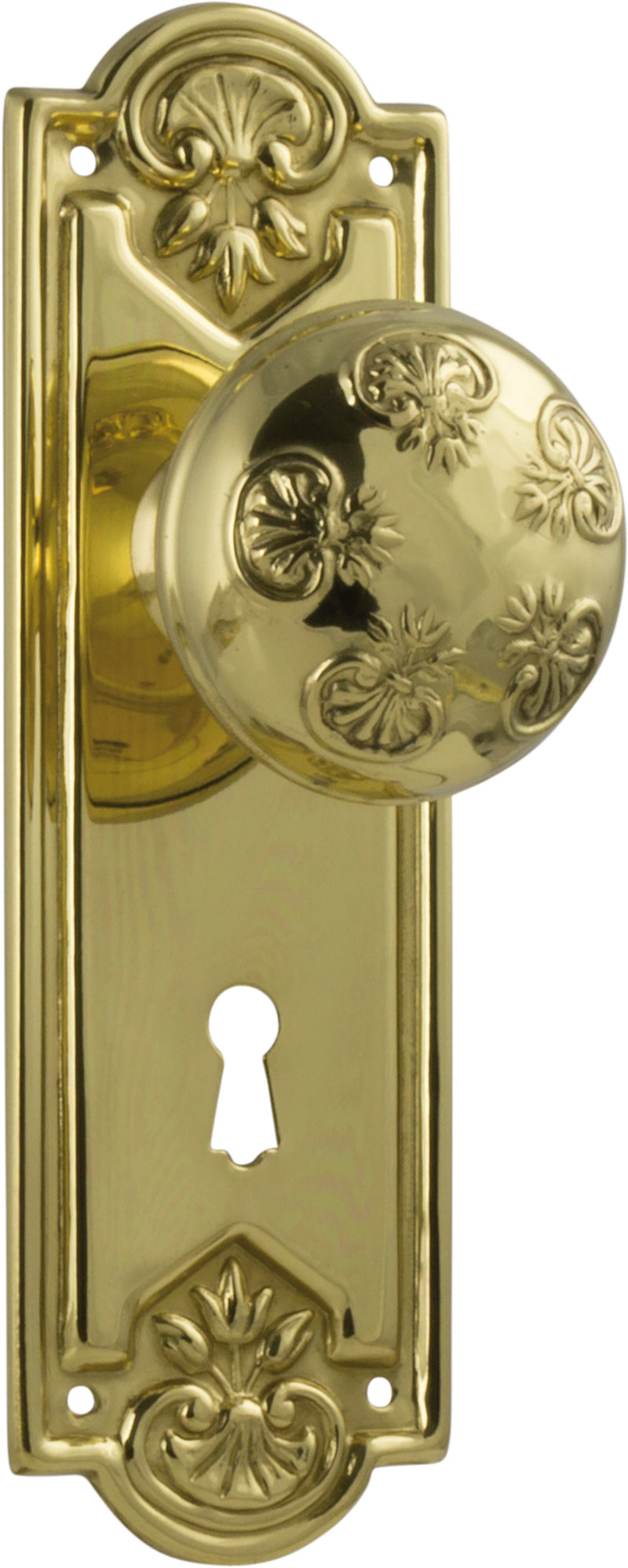 Nouveau Door Knob - Long Backplate Polished Brass / Lock | Lock (Skeleton Key)
