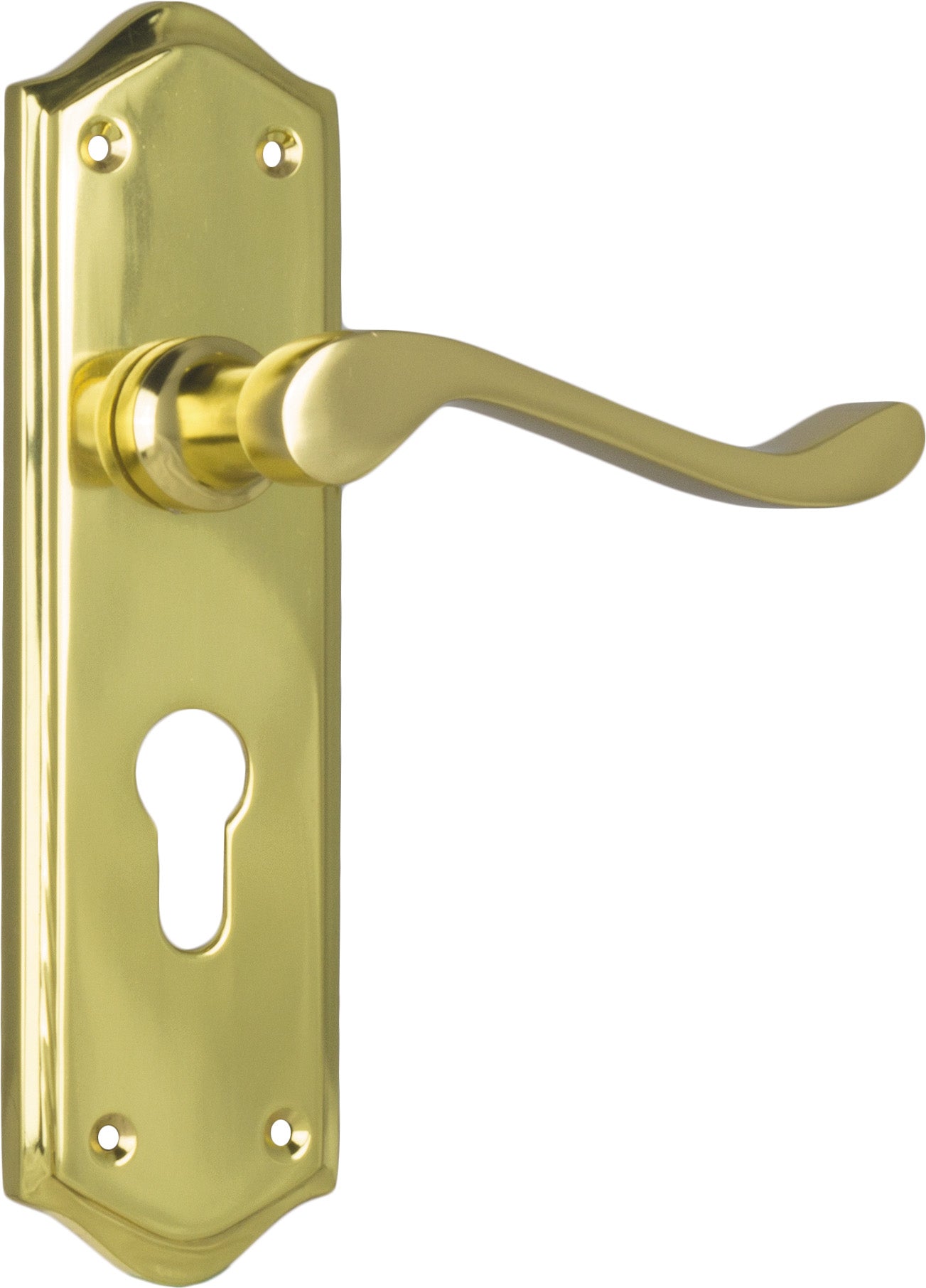 Henley Lever - Long Backplate Polished Brass / Euro | Entrance