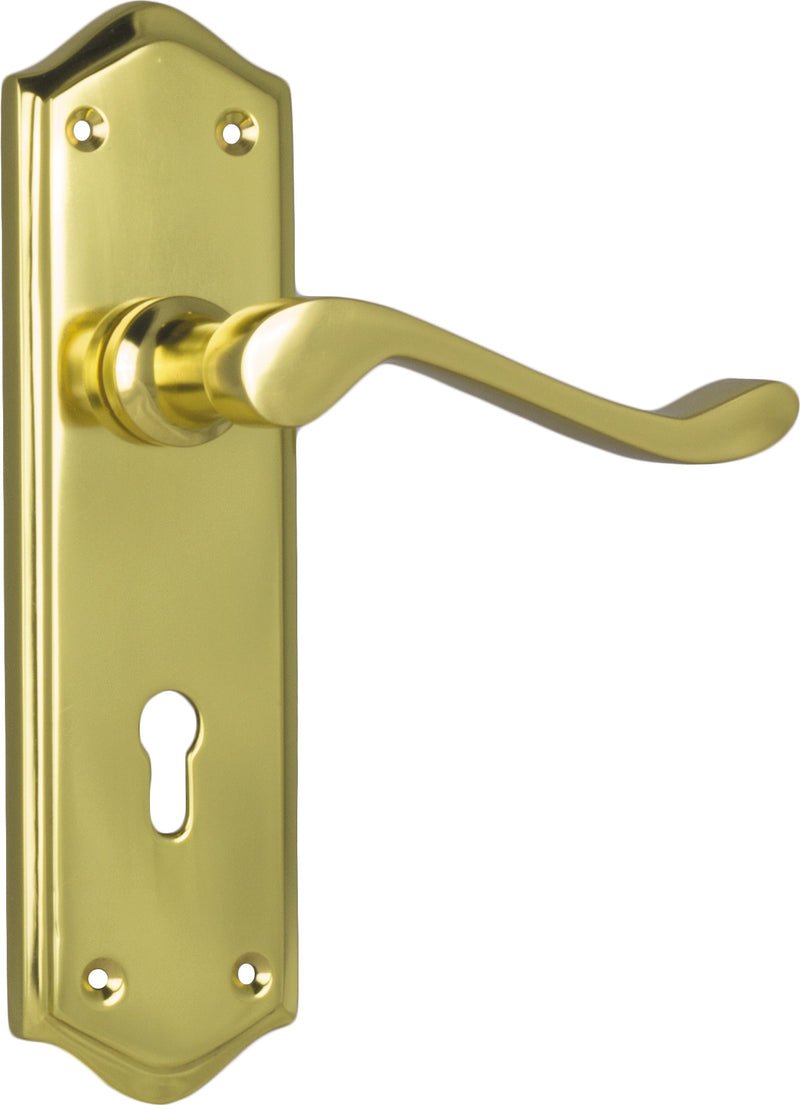 Henley Lever - Long Backplate Polished Brass / Lock | Lock (Skeleton Key)