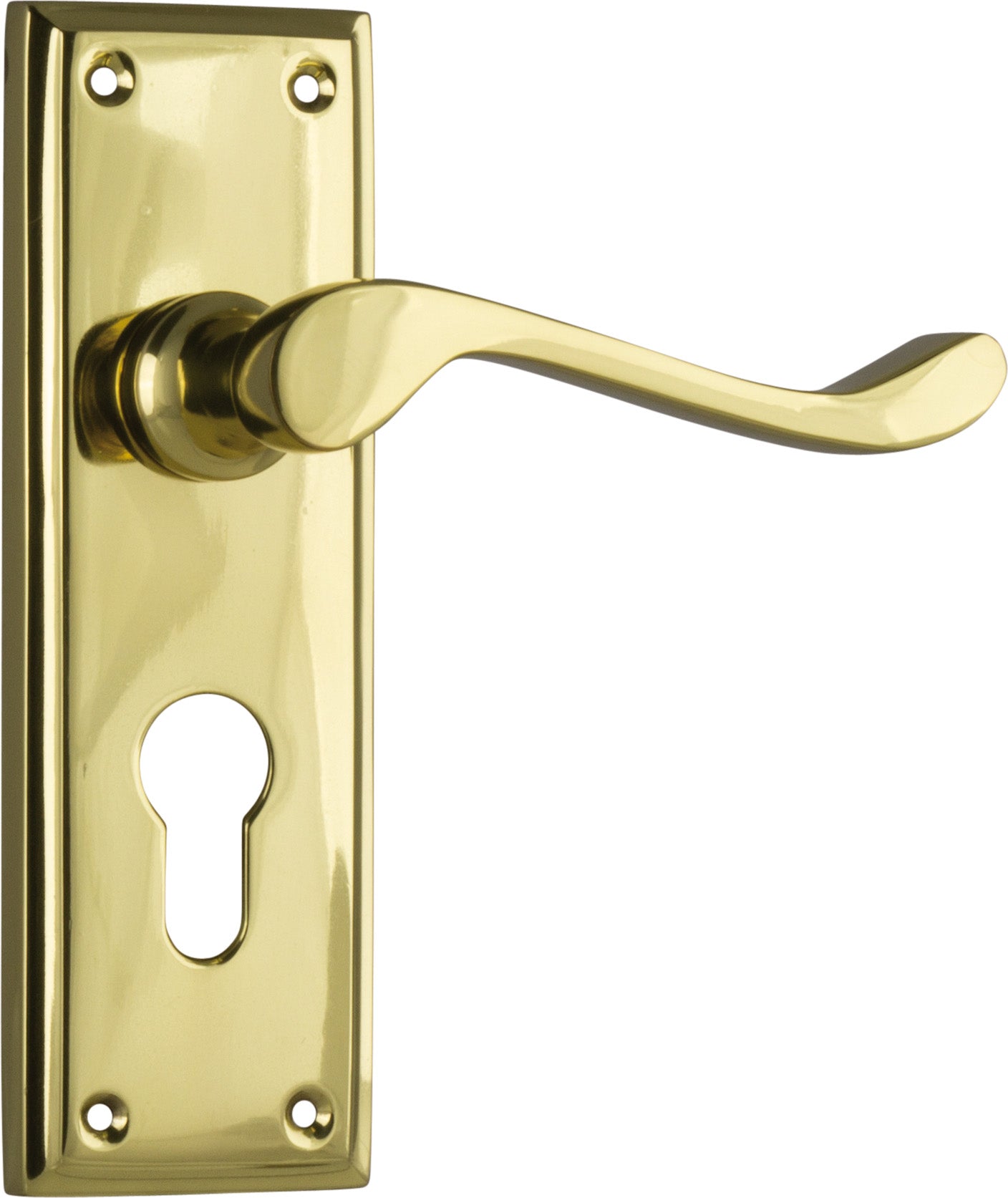 Camden Lever - Long Backplate Polished Brass / Euro | Entrance
