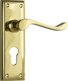 Camden Lever - Long Backplate Polished Brass / Euro | Entrance