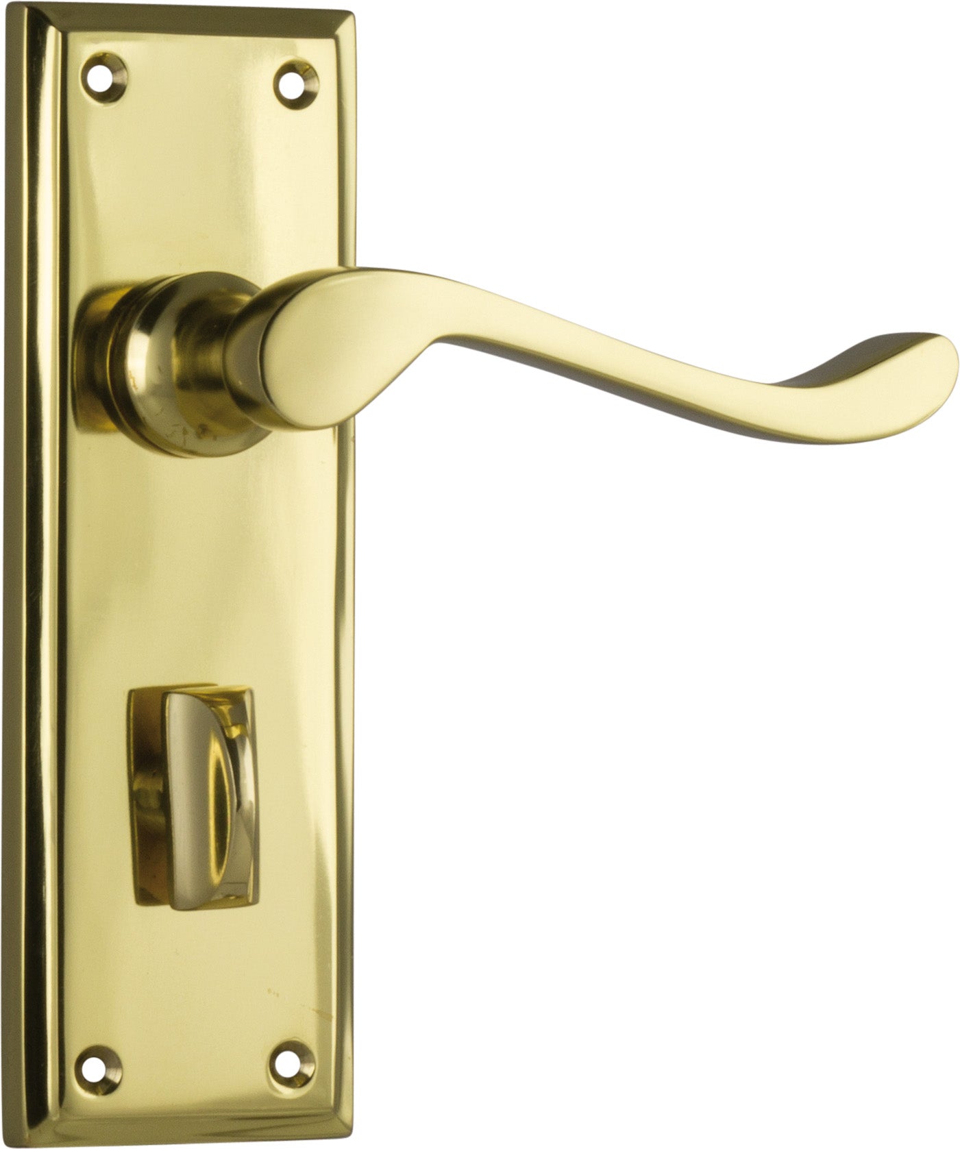 Camden Lever - Long Backplate Polished Brass / Privacy | Privacy