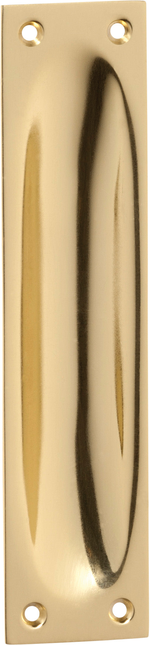 Classic Flush Pull Polished Brass / Large