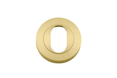 Oval Escutcheon - Round Brushed Gold PVD / Solid Brass