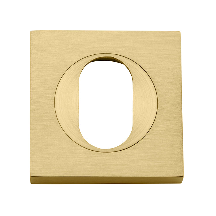 Oval Escutcheon - Square Brushed Gold PVD / Solid Brass