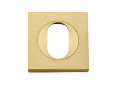 Oval Escutcheon - Square Brushed Gold PVD / Solid Brass