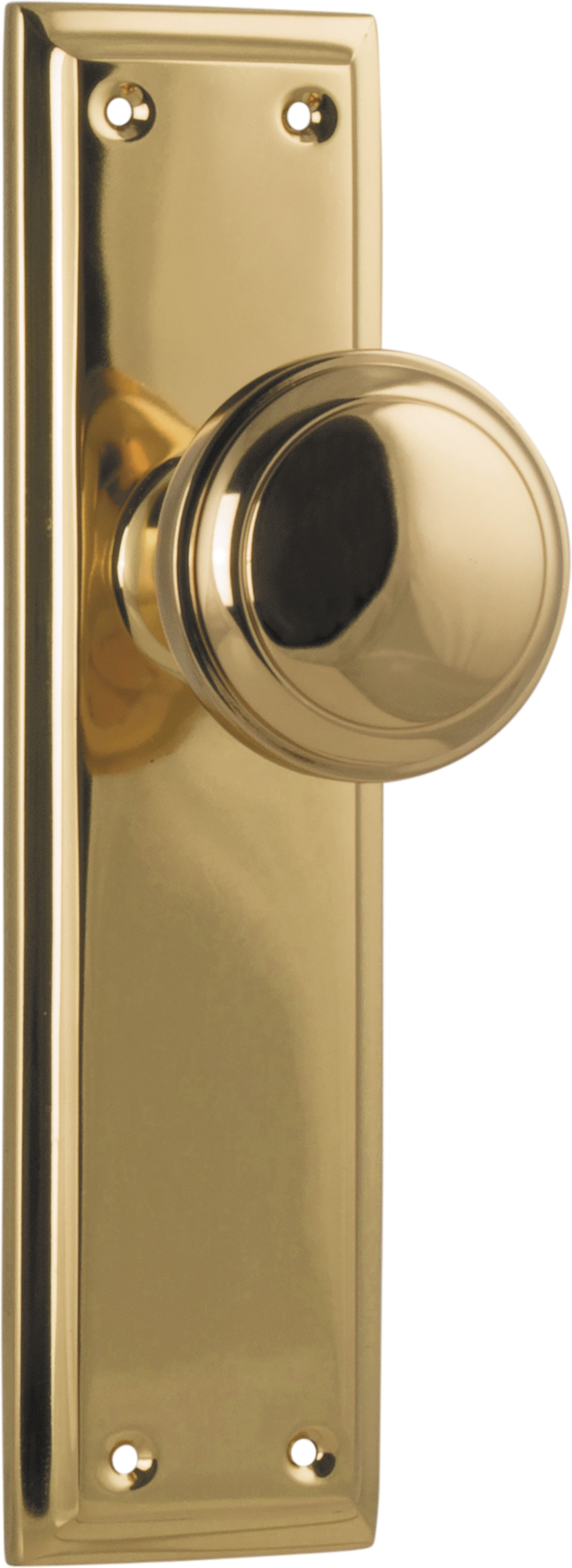 Milton Knob - Long Backplate Unlacquered Polished Brass / Latch | Passage
