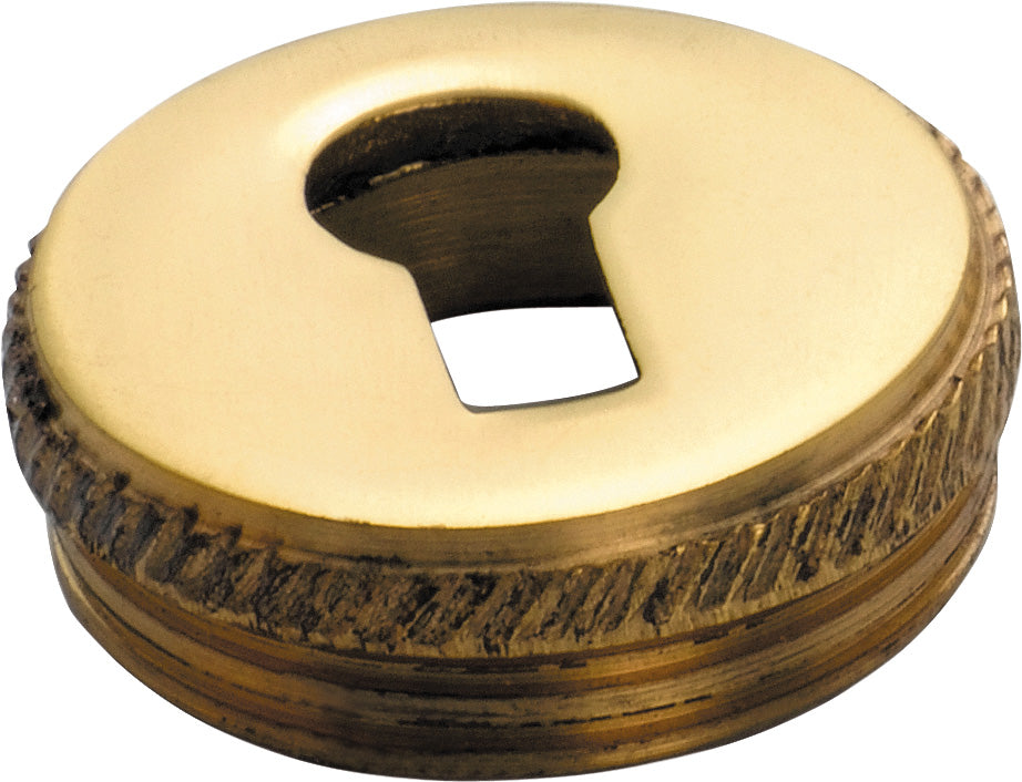 Cupboard Escutcheon Polished Brass