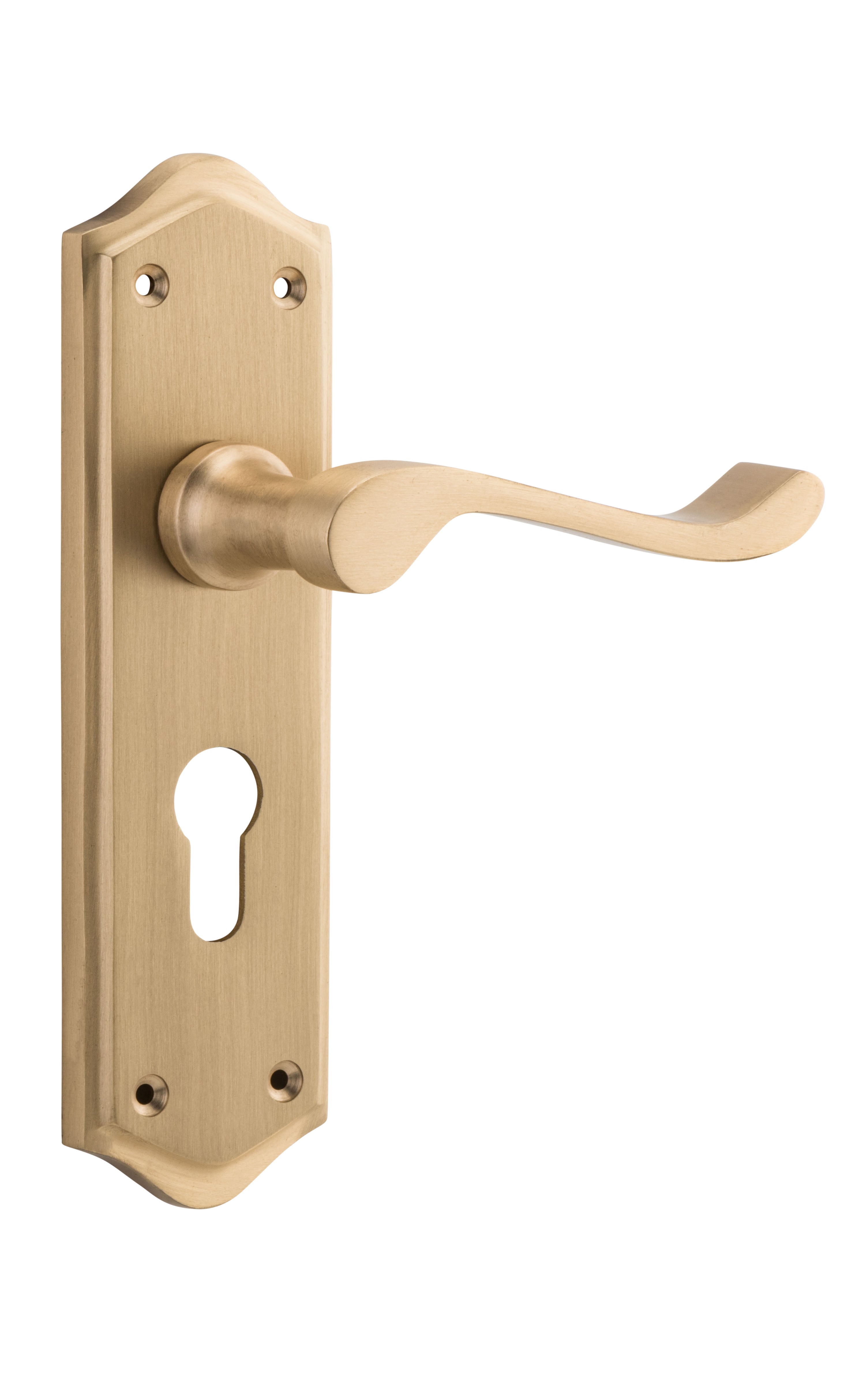Henley Lever - Long Backplate Satin Brass / Euro | Entrance