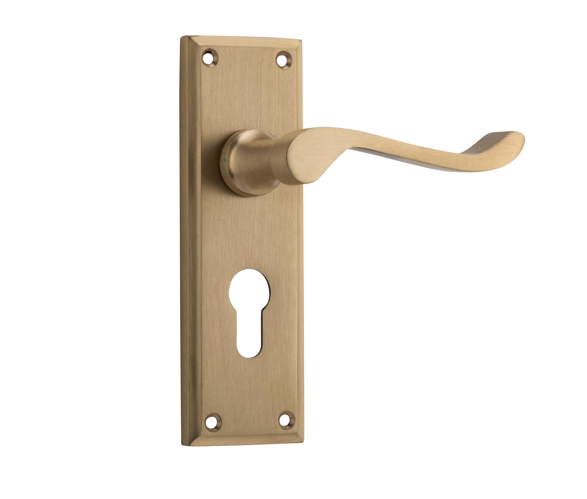 Camden Lever - Long Backplate Satin Brass / Euro | Entrance