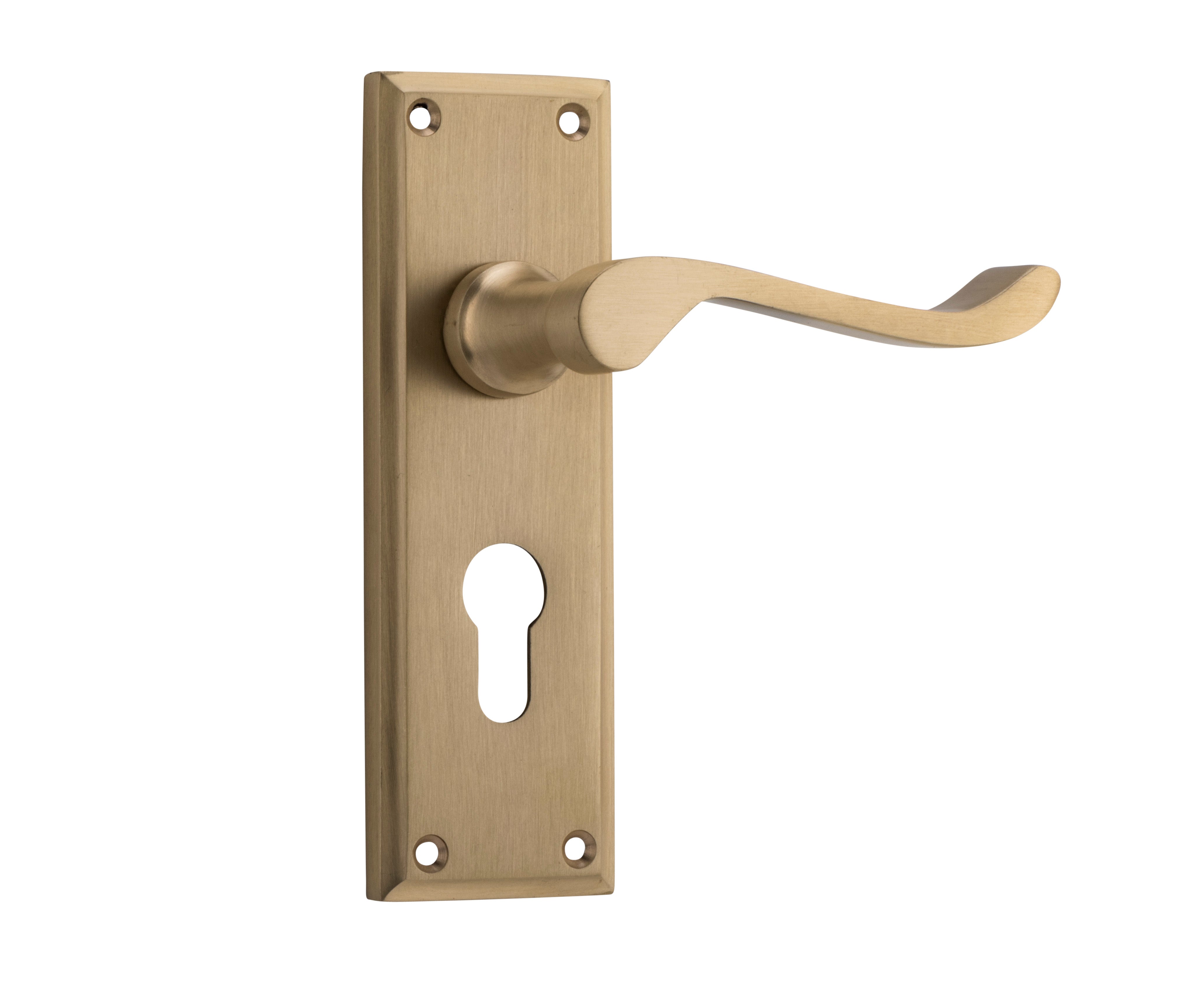 Camden Lever - Long Backplate Satin Brass / Euro | Entrance