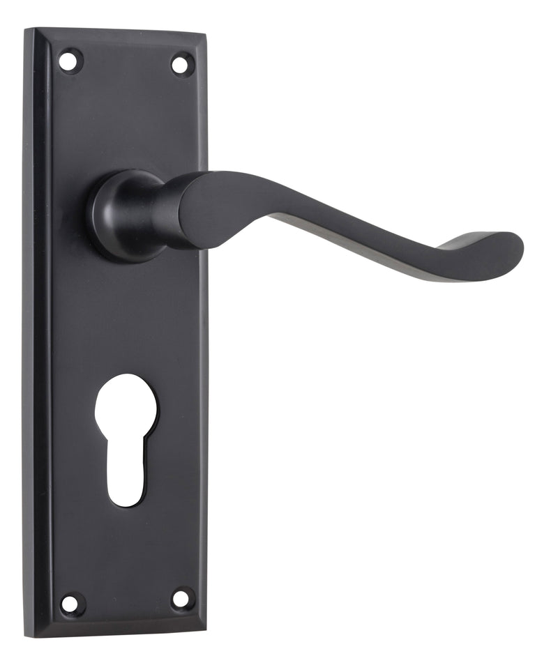 Camden Lever - Long Backplate Matt Black / Euro | Entrance