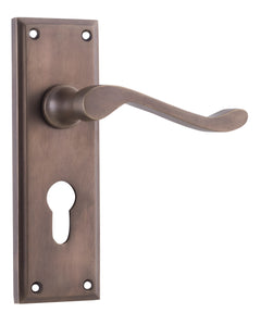 Camden Lever - Long Backplate Antique Brass / Euro | Entrance