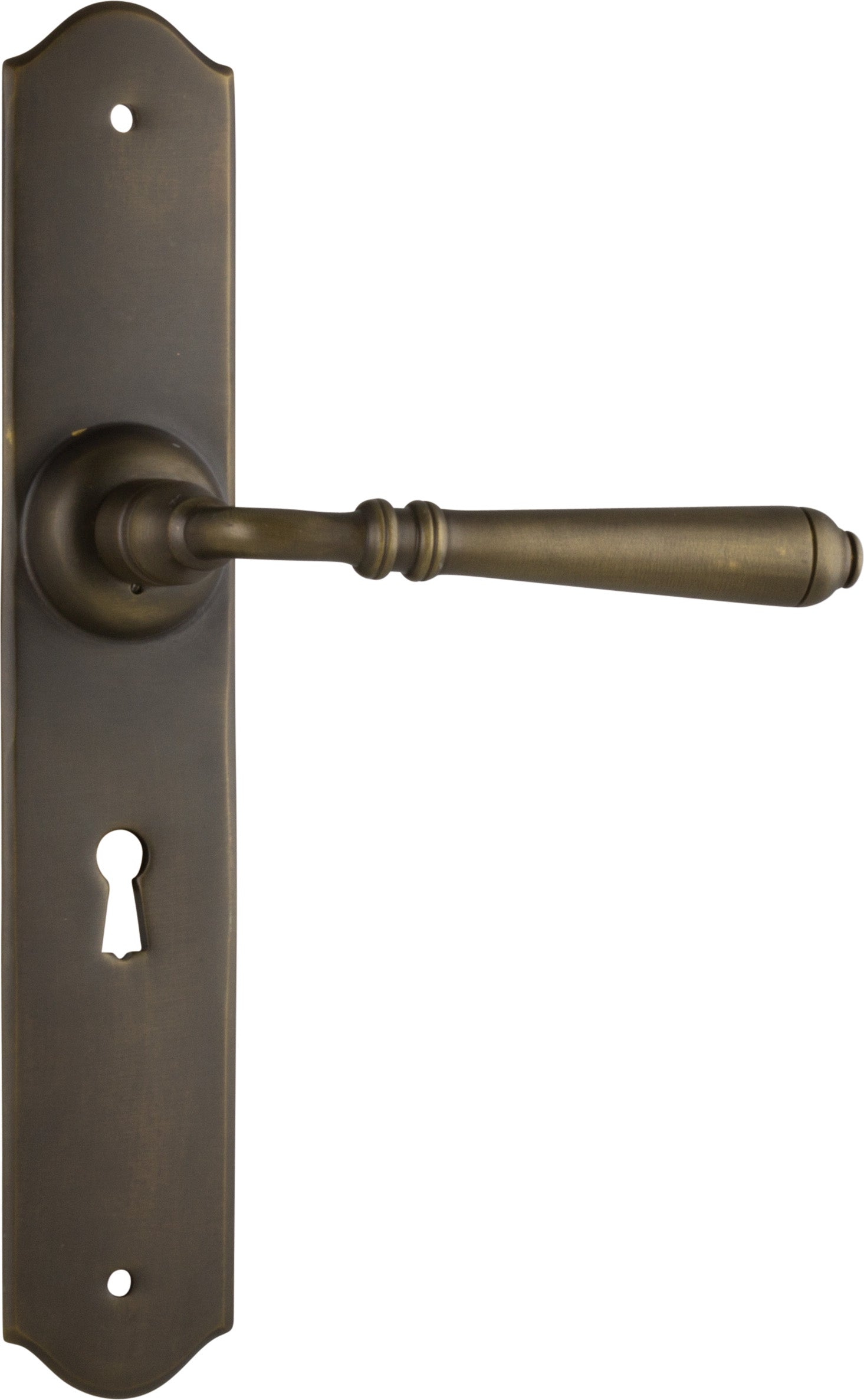 Reims Lever - Long Backplate Antique Brass / Lock | Lock (Skeleton Key)