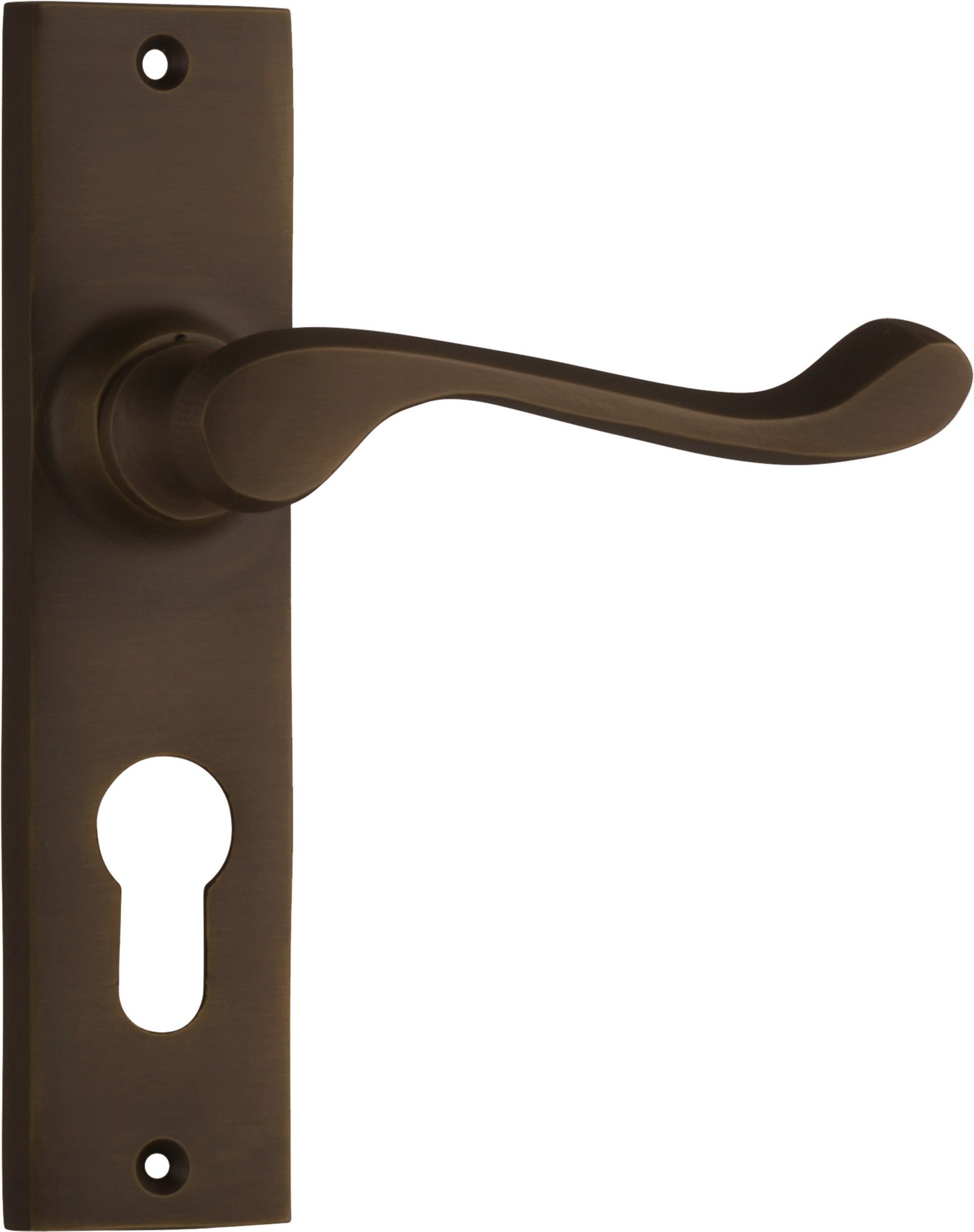 Fremantle Lever - Long Backplate Antique Brass / Euro | Entrance