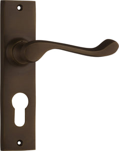 Fremantle Lever - Long Backplate Antique Brass / Euro | Entrance