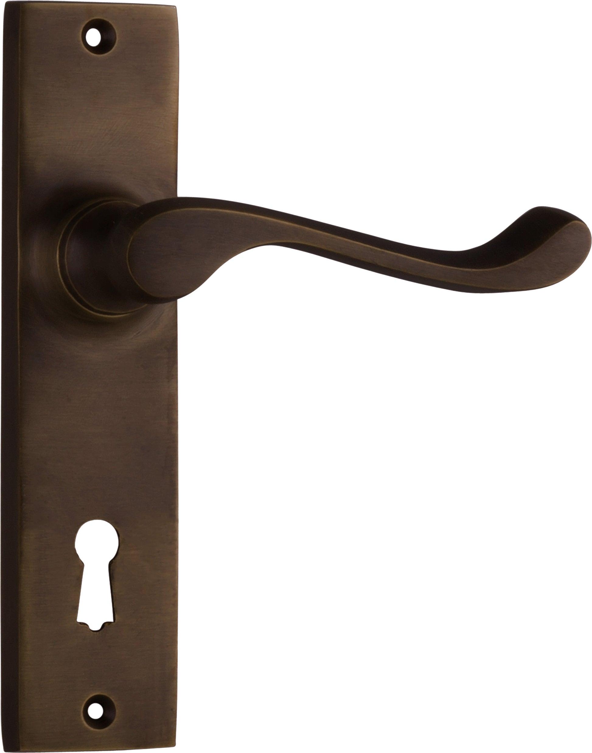 Fremantle Lever - Long Backplate Antique Brass / Lock | Lock (Skeleton Key)