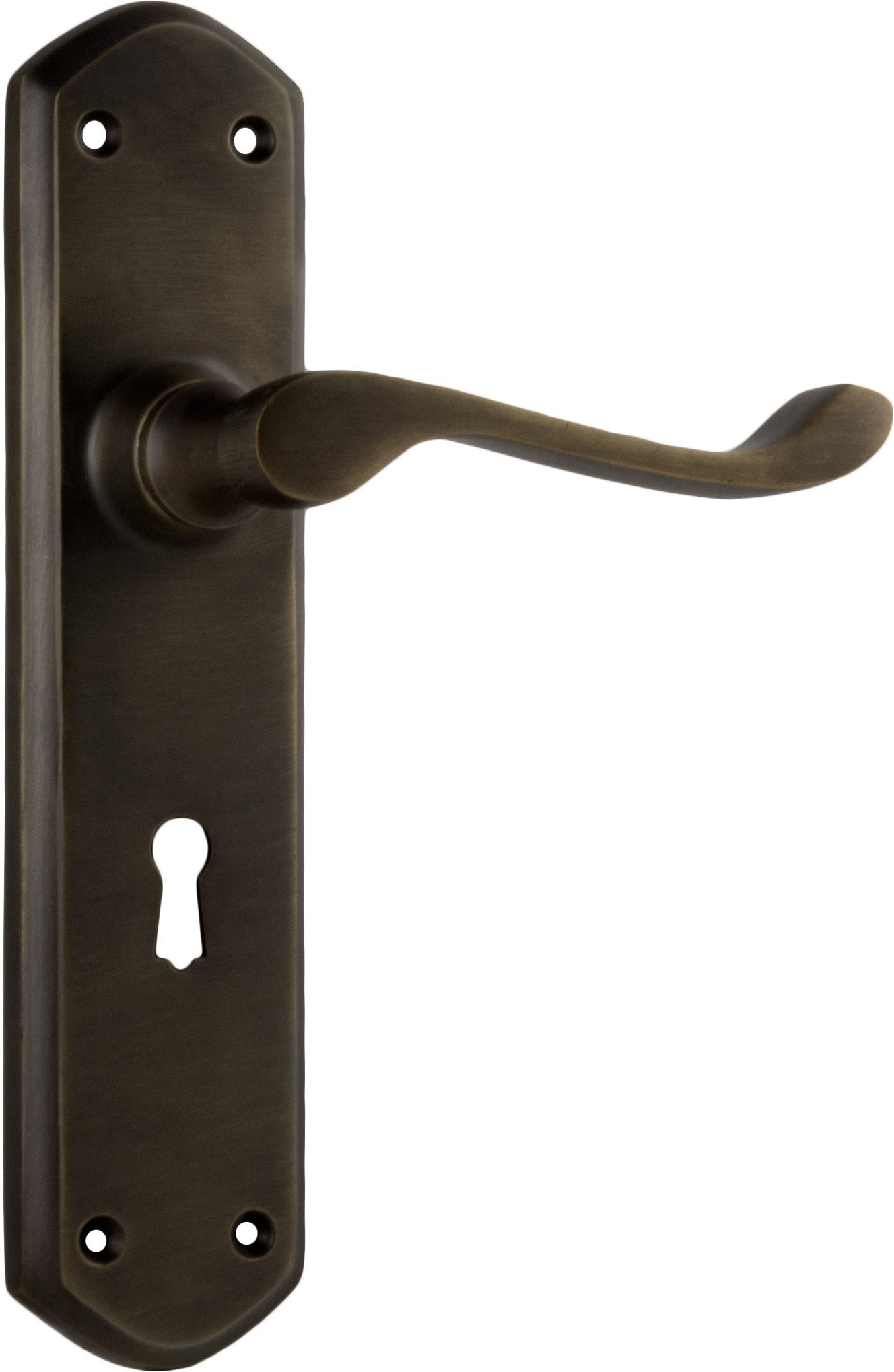 Windsor Lever - Long Backplate Antique Brass / Lock | Lock (Skeleton Key)