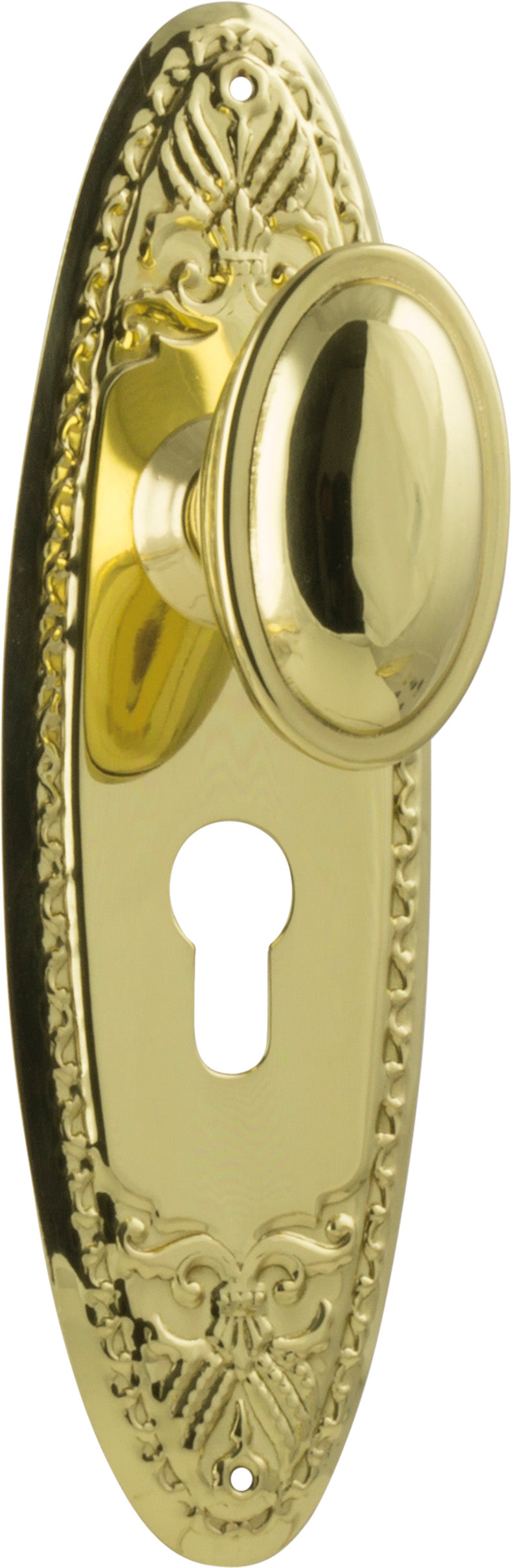 Fitzroy Door Knob - Long Backplate Polished Brass / Euro | Entrance