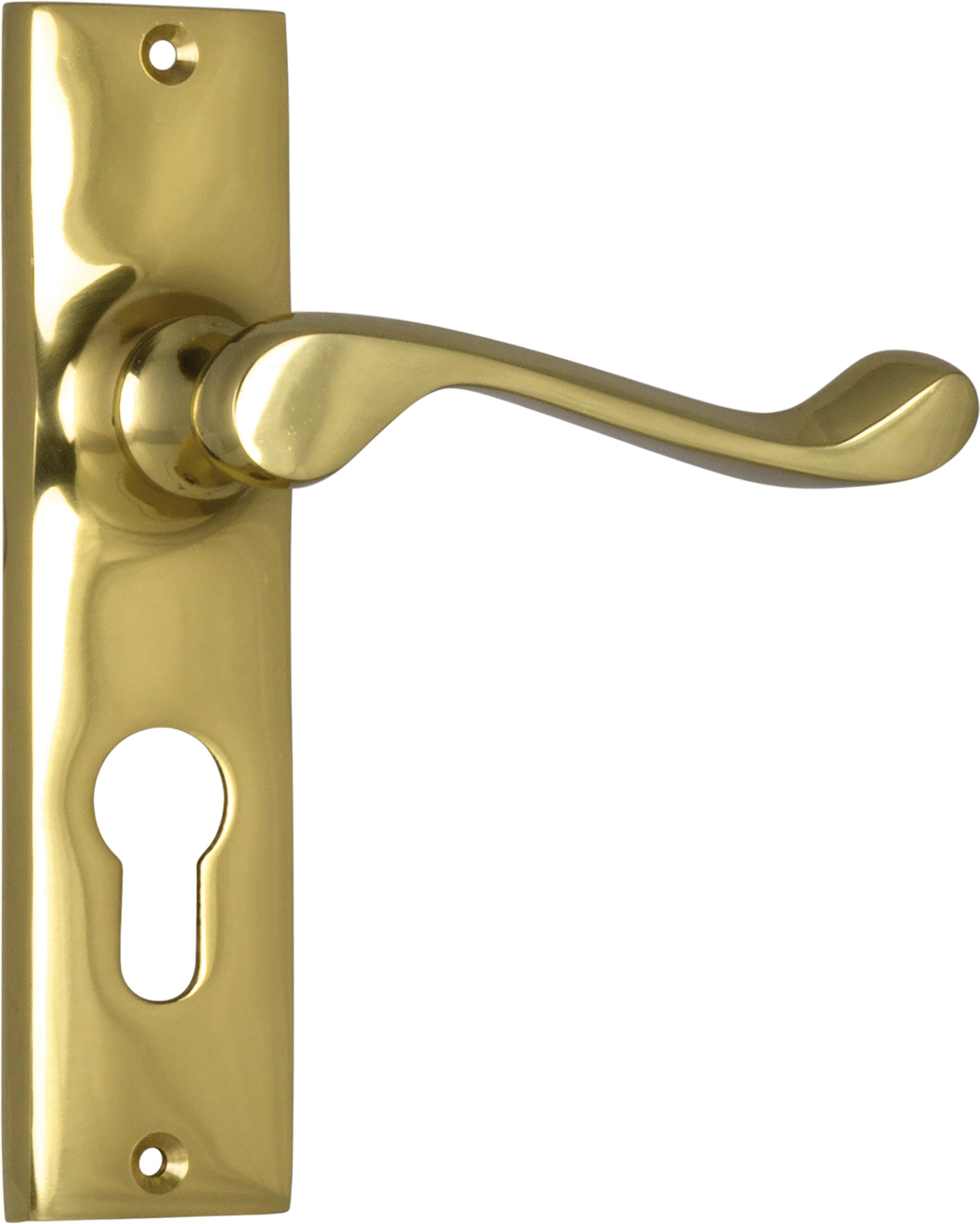 Fremantle Lever - Long Backplate Polished Brass / Euro | Entrance