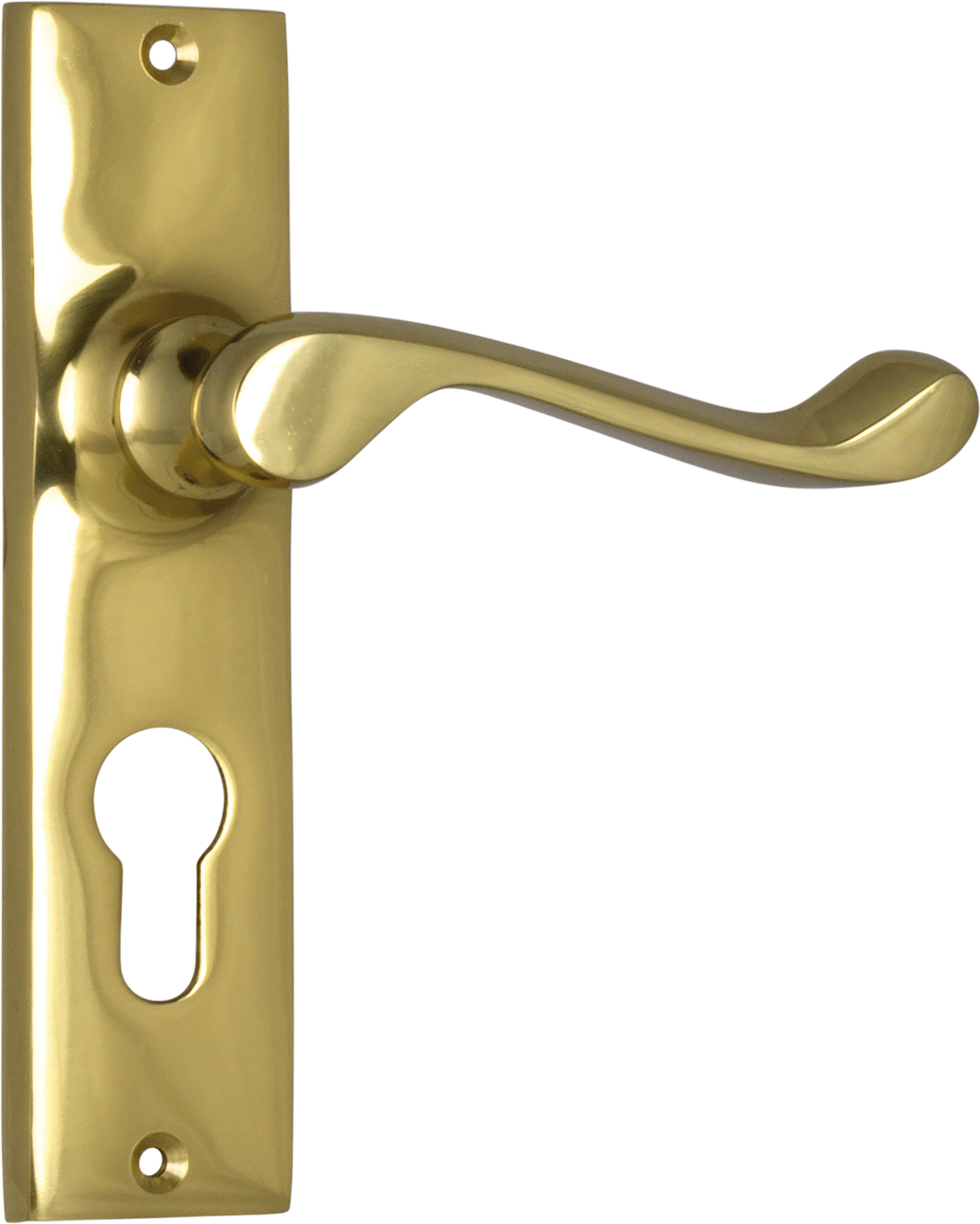 Fremantle Lever - Long Backplate Polished Brass / Euro | Entrance