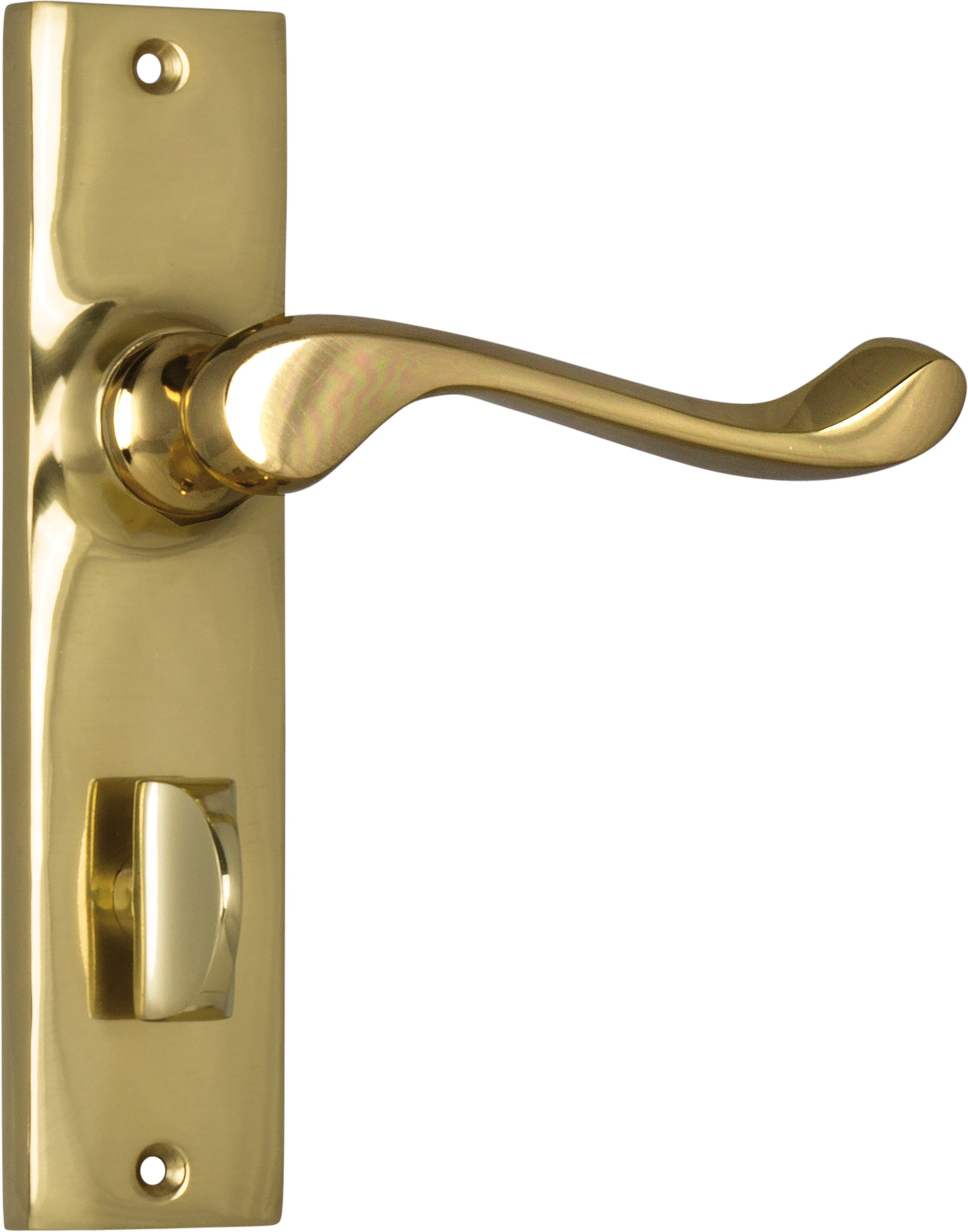 Fremantle Lever - Long Backplate Polished Brass / Privacy | Privacy