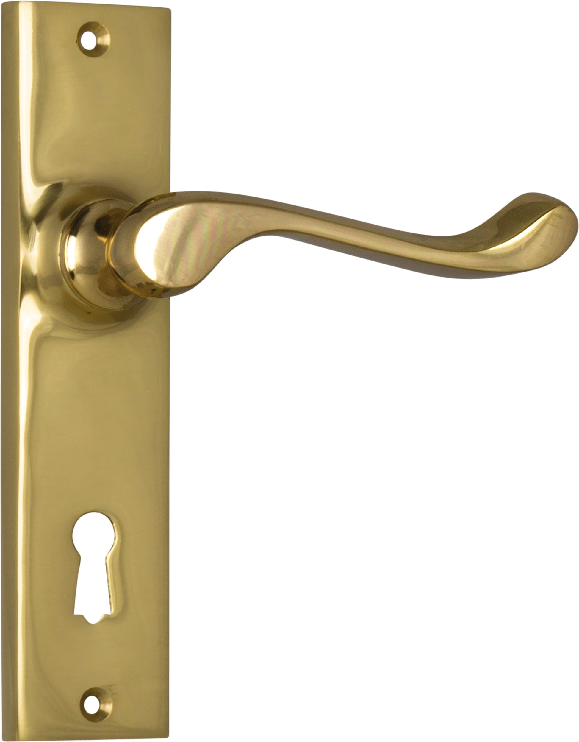 Fremantle Lever - Long Backplate Polished Brass / Lock | Lock (Skeleton Key)