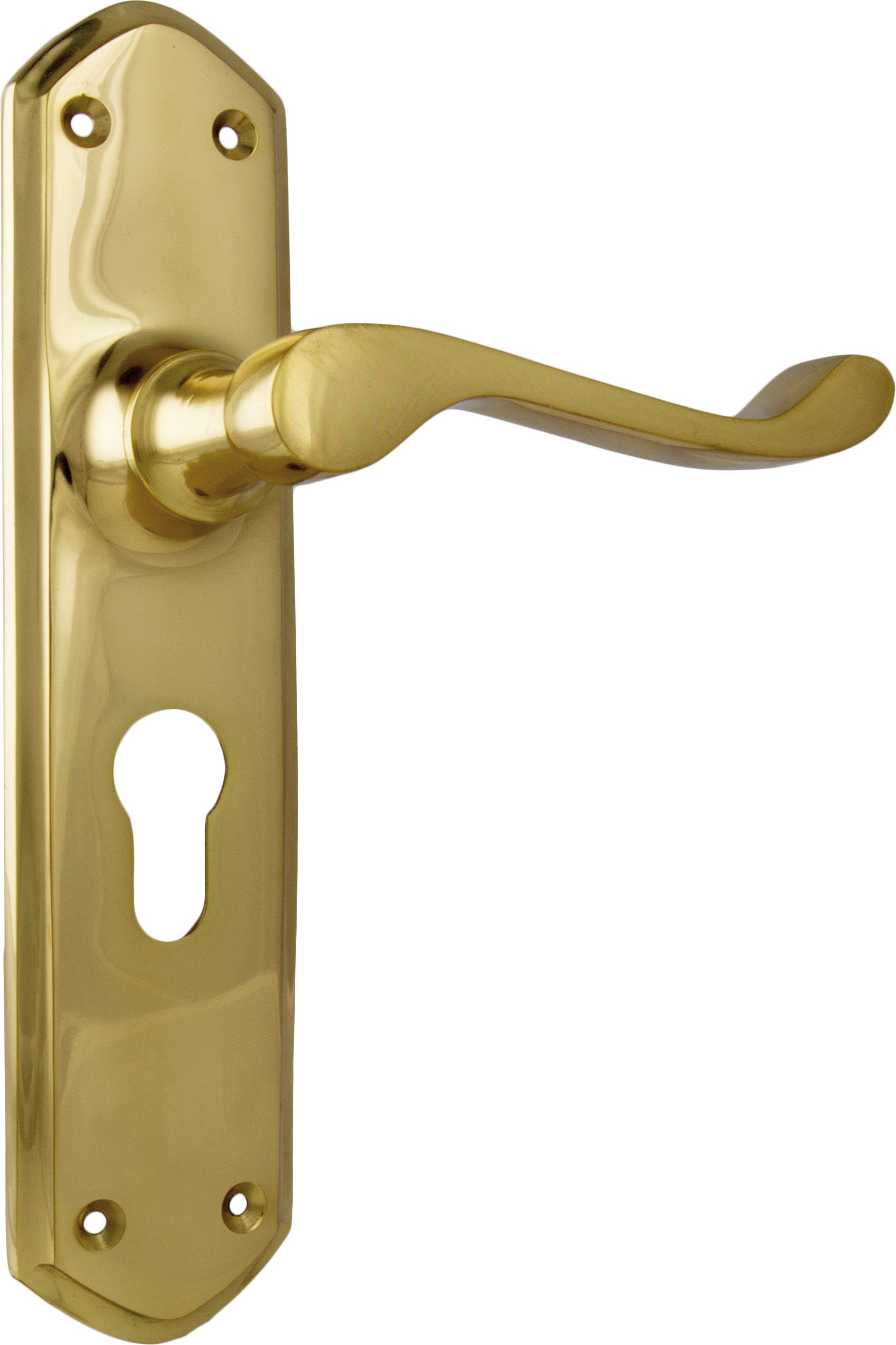 Windsor Lever - Long Backplate Polished Brass / Euro | Entrance