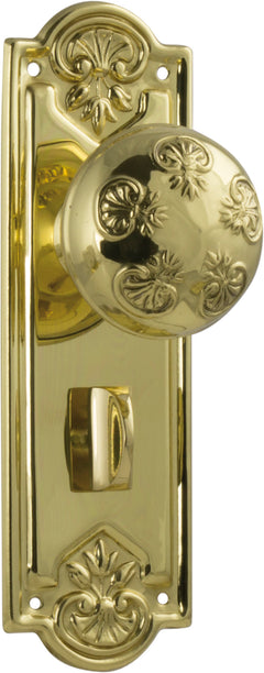 Nouveau Door Knob - Long Backplate Polished Brass / Privacy | Privacy