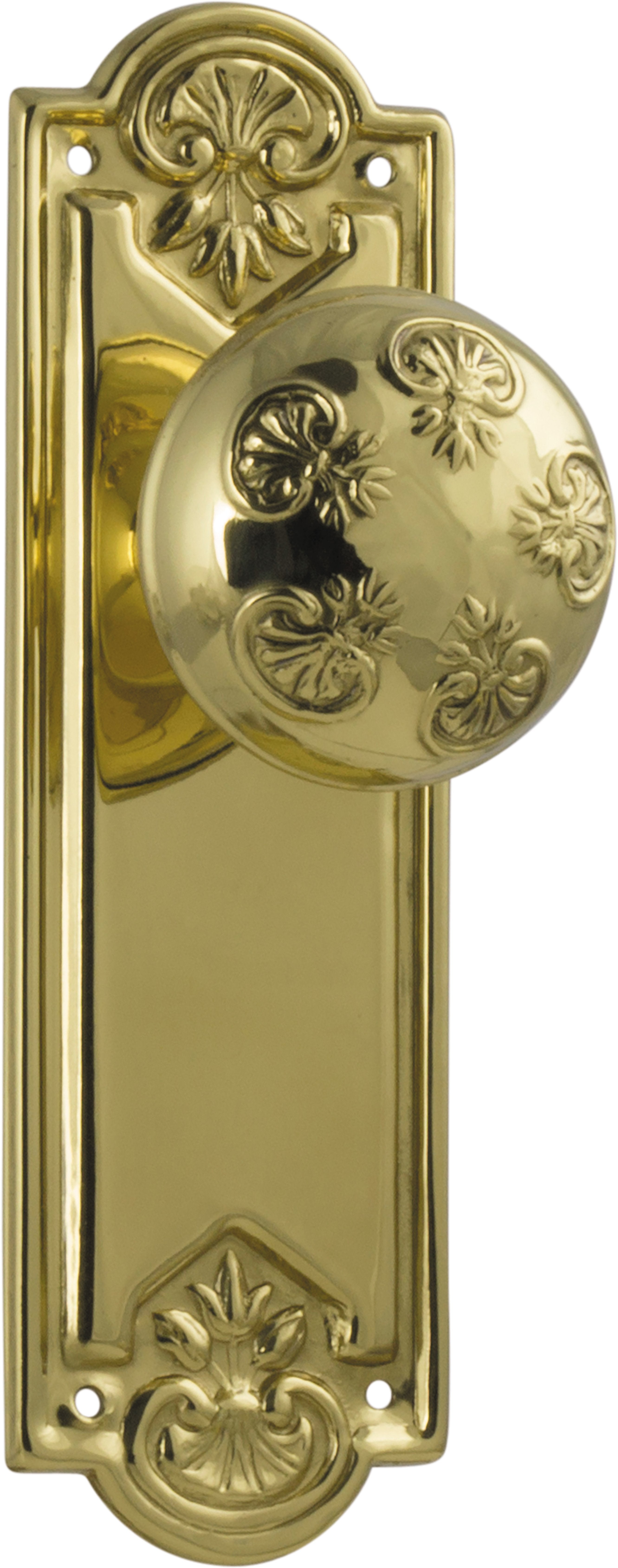 Nouveau Door Knob - Long Backplate Polished Brass / Latch | Passage