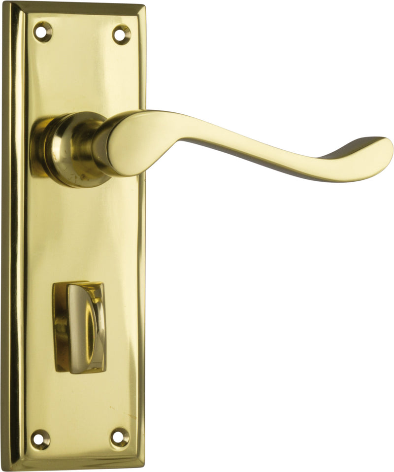 Camden Lever - Long Backplate Polished Brass / Privacy | Privacy