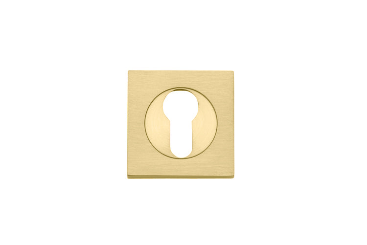 Euro Escutcheons -  Square Brushed Gold PVD / Solid Brass