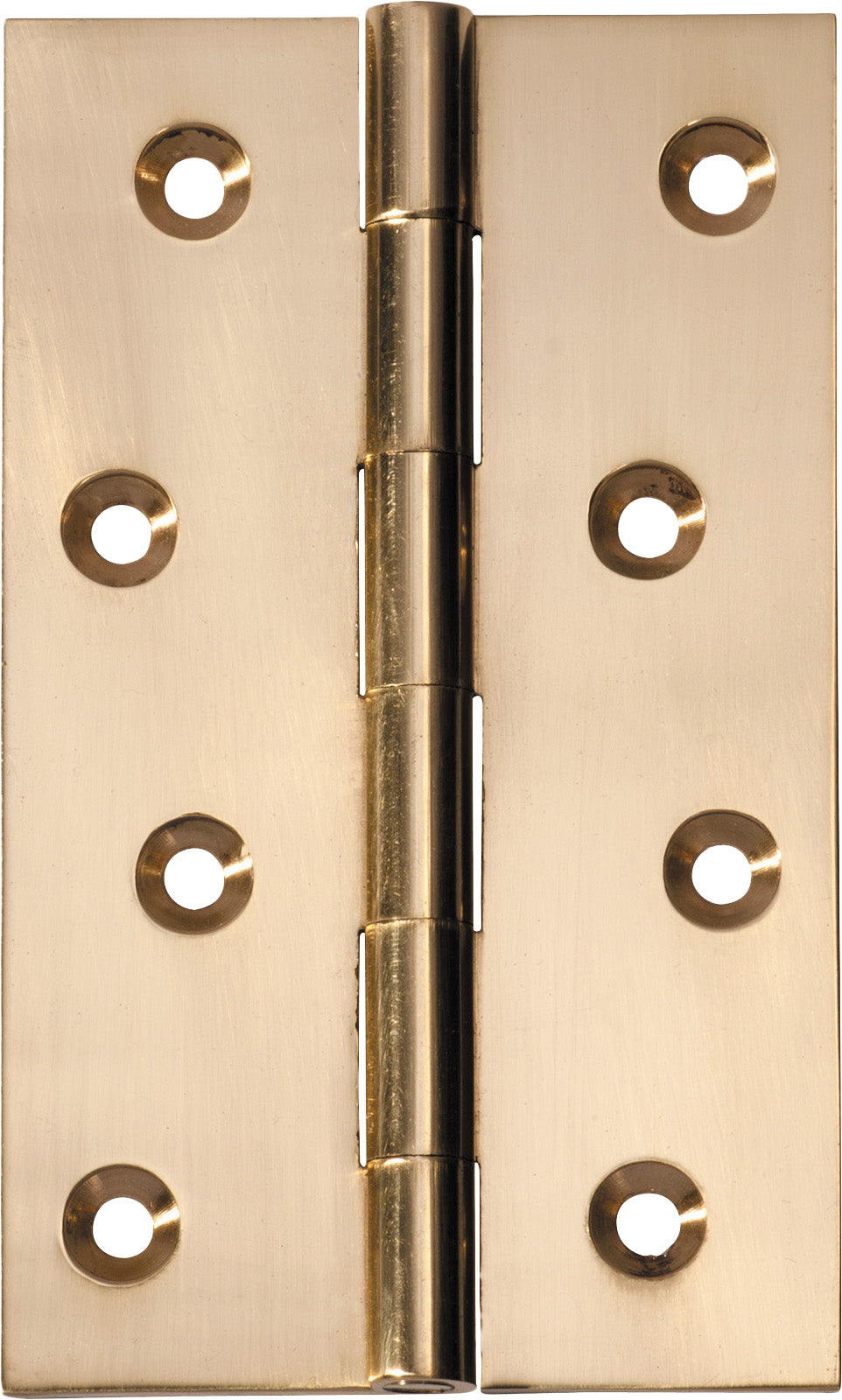 Fixed Pin Hinge Polished Brass / H100xW60mm