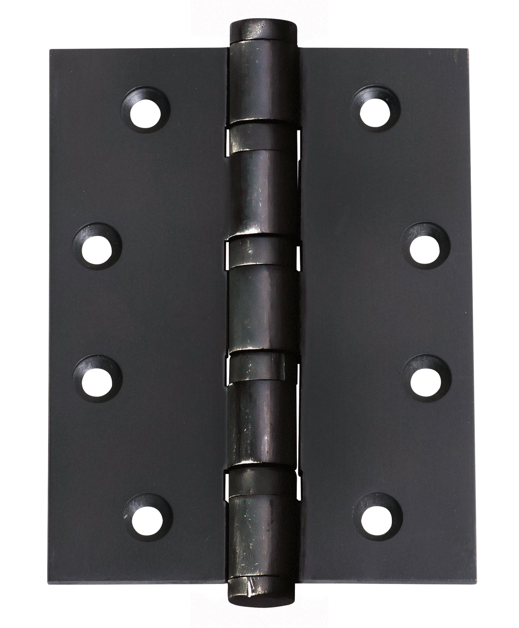 Ball Bearing Hinge Matt Black / H100xW75mm