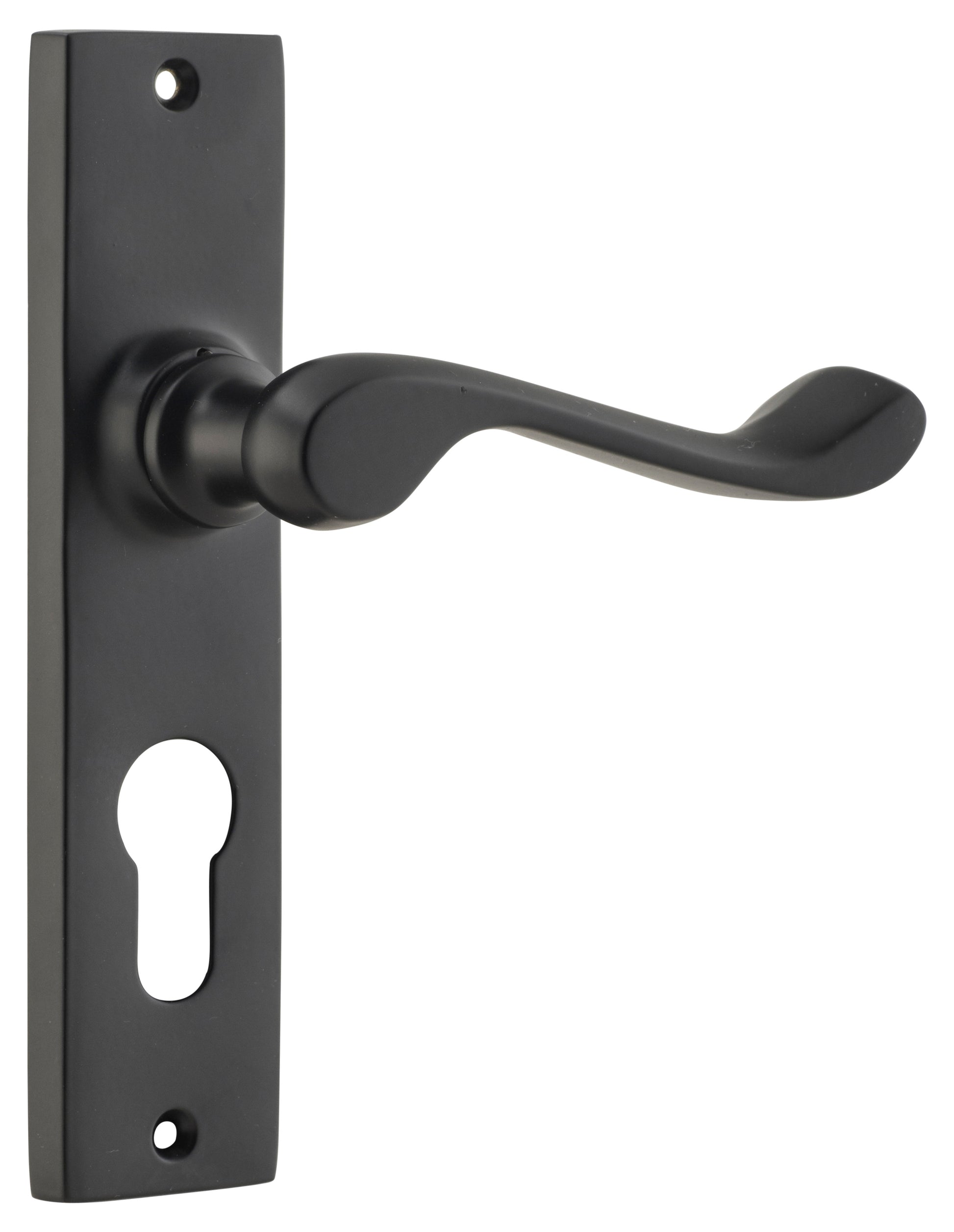 Fremantle Lever - Long Backplate Matt Black / Euro | Entrance