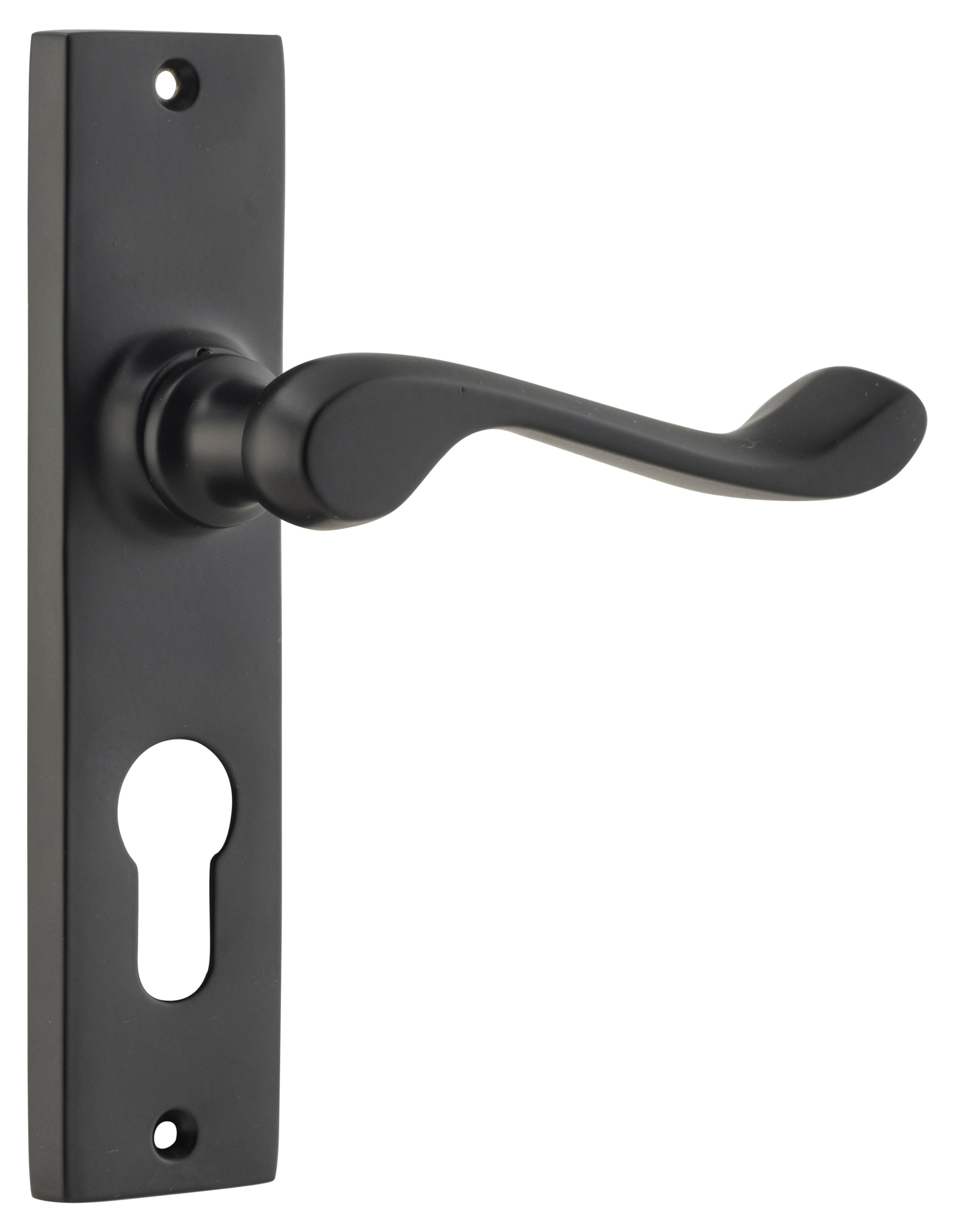Fremantle Lever - Long Backplate Matt Black / Euro | Entrance