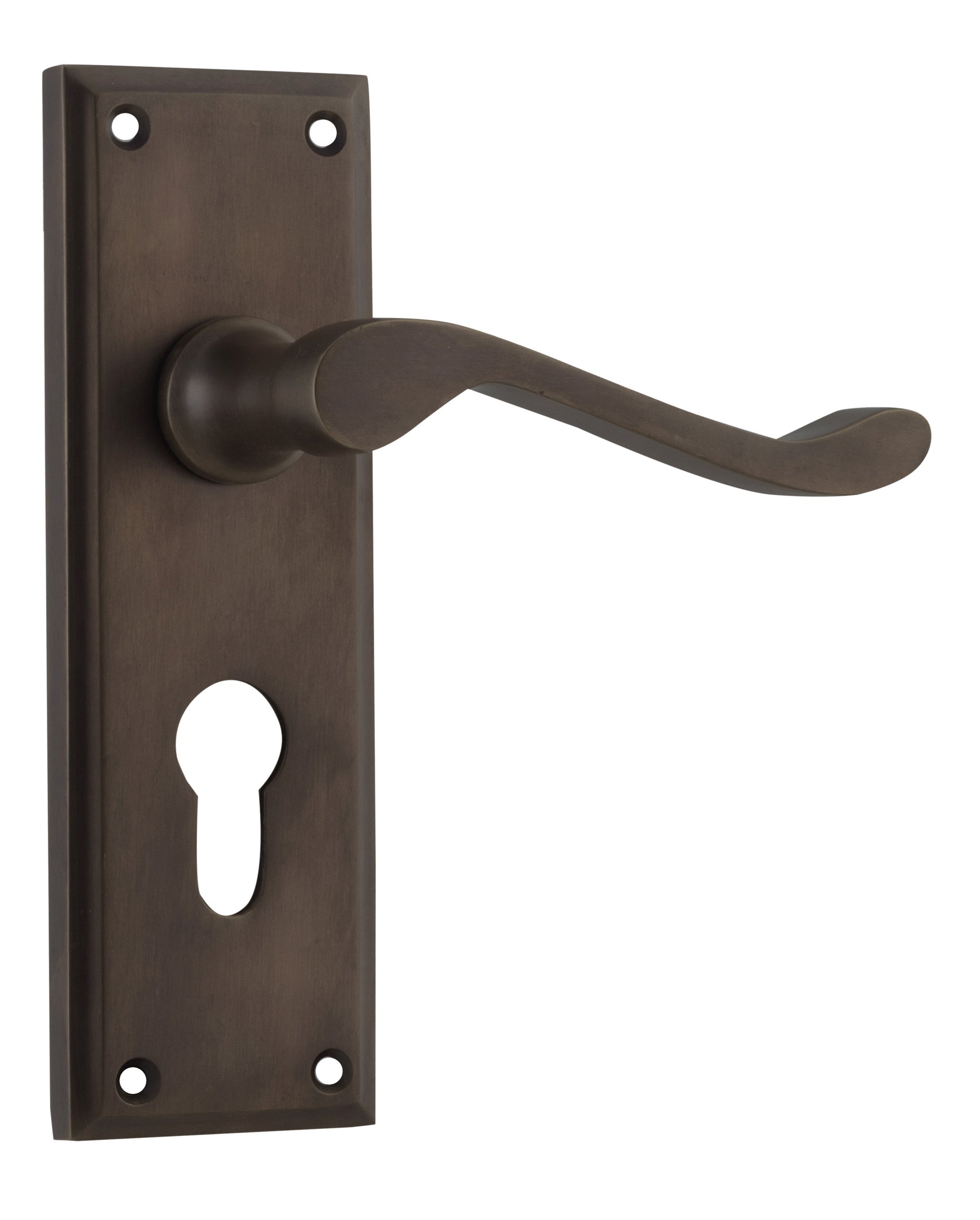 Camden Lever - Long Backplate Antique Brass / Euro | Entrance
