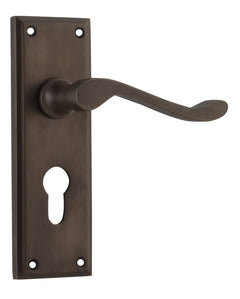 Camden Lever - Long Backplate Antique Brass / Euro | Entrance
