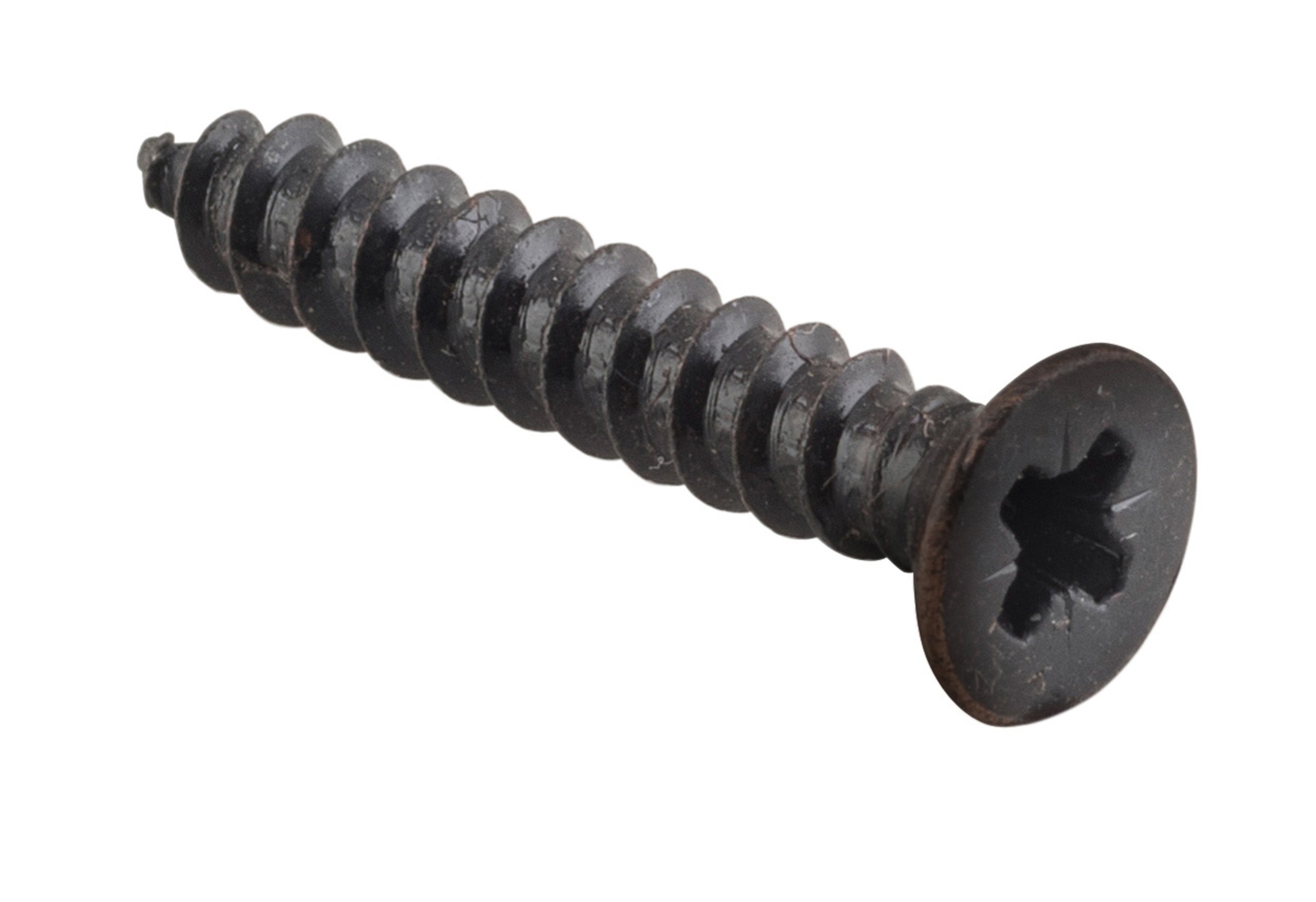 Hinge Screws - Stainless Steel L25mm 8 Gauge